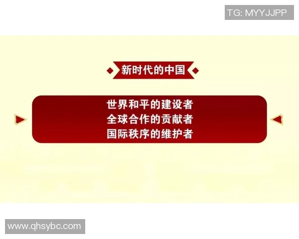赖斯的外交智慧与全球影响力分析及其对未来国际关系的启示